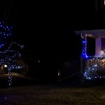 The Stork on our Porch