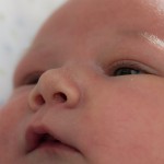 A close up of the 1 week old