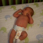 Eli Sans Umbilical Cord