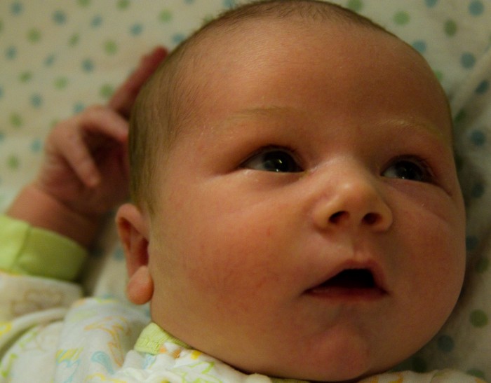 Eli's Closeup at Three Weeks