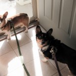 And You Knew They'd Be Ready