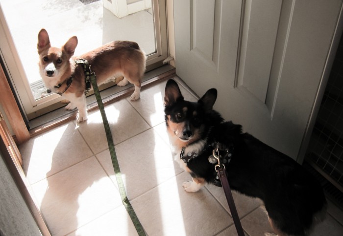 And You Knew They'd Be Ready