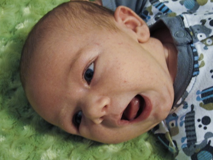 A Happy Eli At Four Weeks