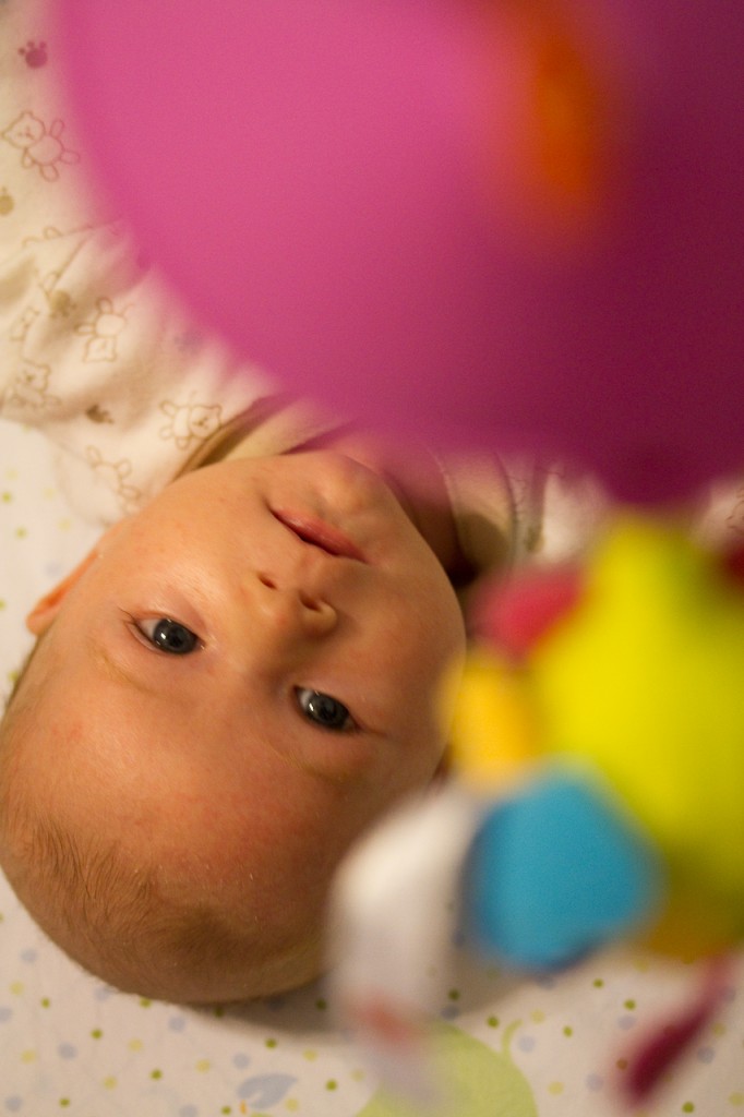 Eli through his mobile