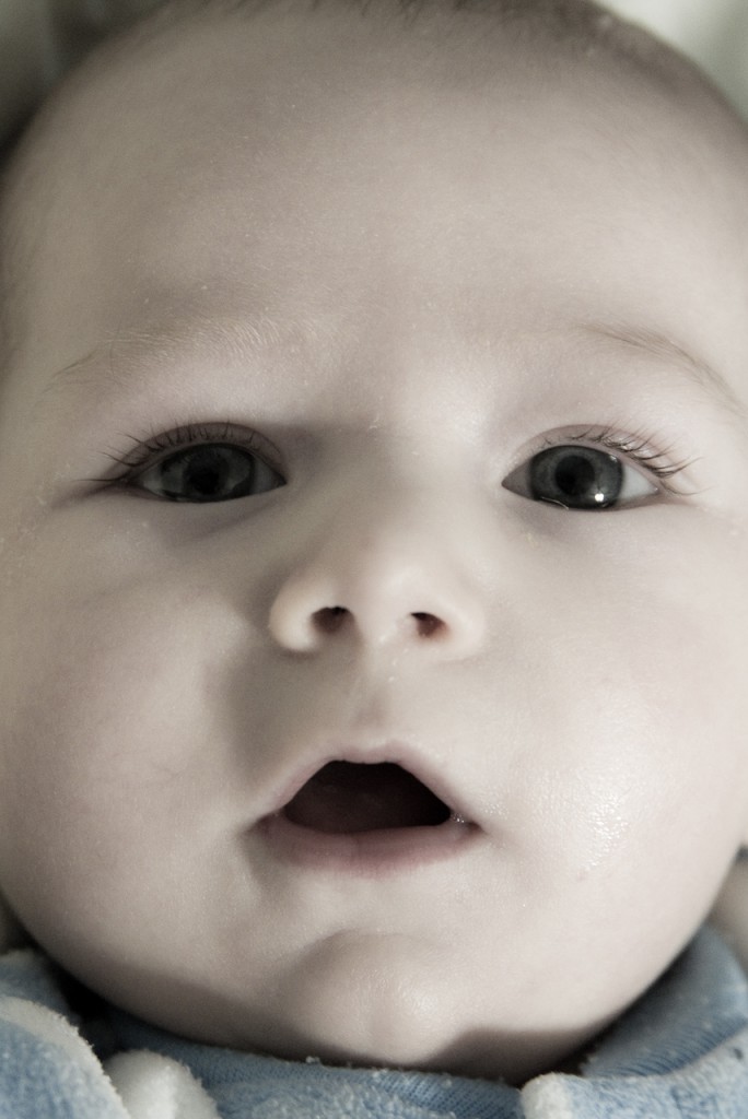 9 Week Old Eli Up Close