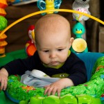 Eli Trying to Make Sense of the Alligator