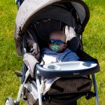 Eli Ready For His Walk