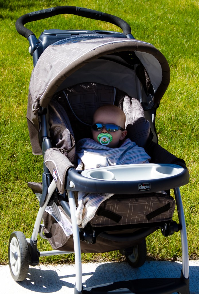 Eli Ready For His Walk