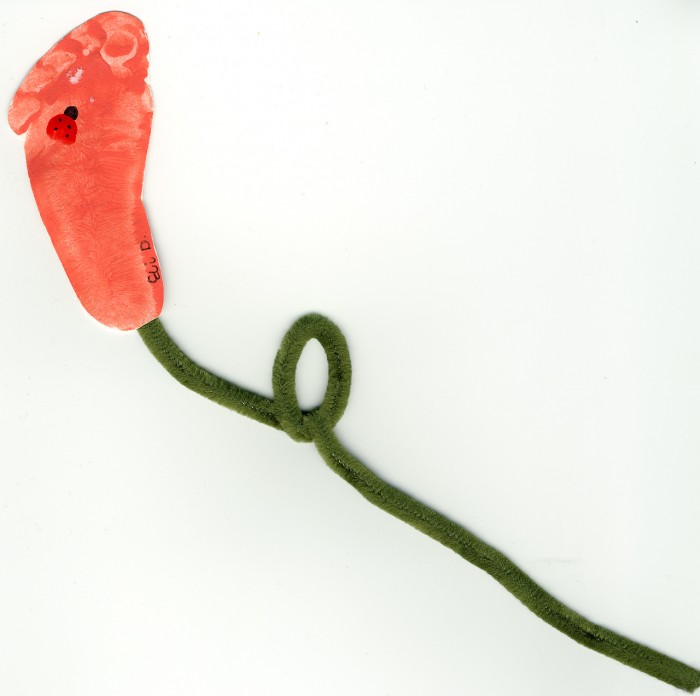 Eli's Footprint Rose