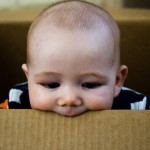 Hmmm, Tasty Cardboard!