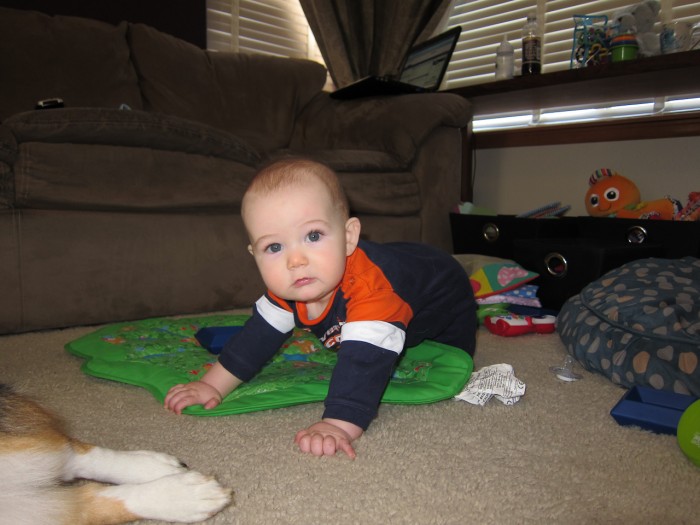 Eli crawling in Broncos Gear