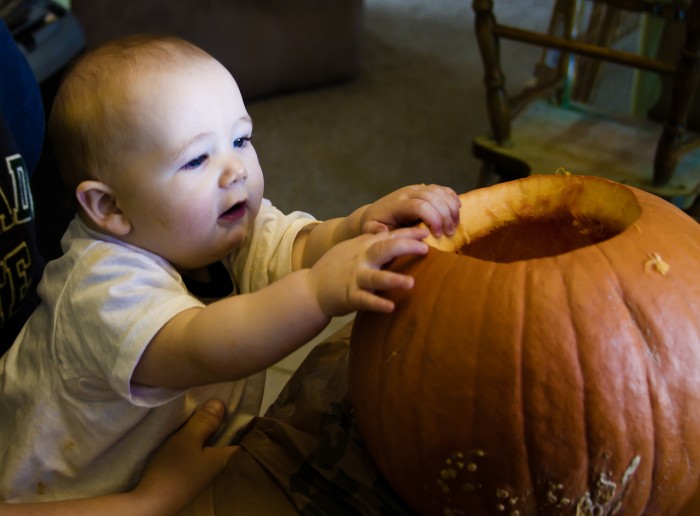 Eli Checks Out The Pumpkin
