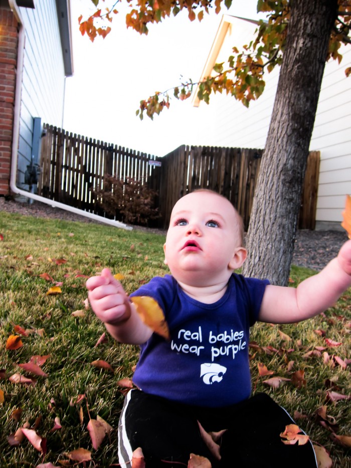 Eli plays with these leafy things