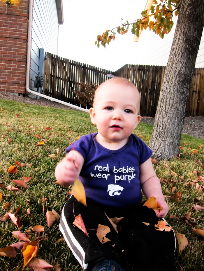 Eli tries to figure out what to do with leaves