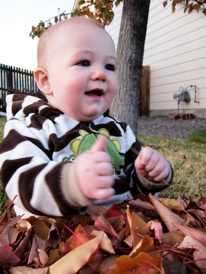 Eli in a pile of leaves.