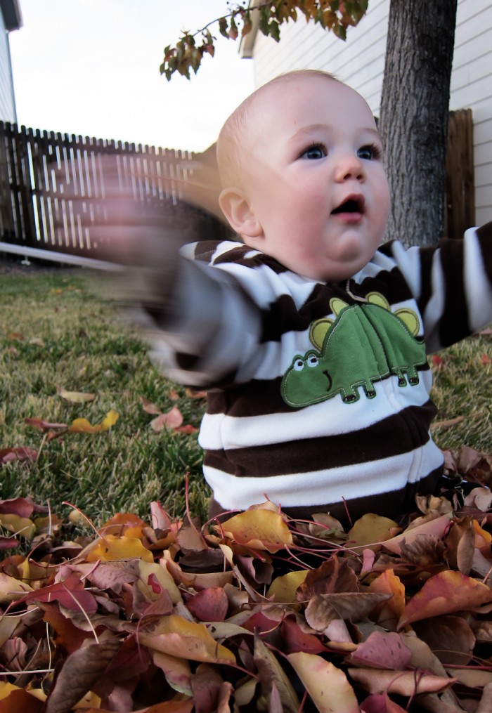 Eli waves a leaf about