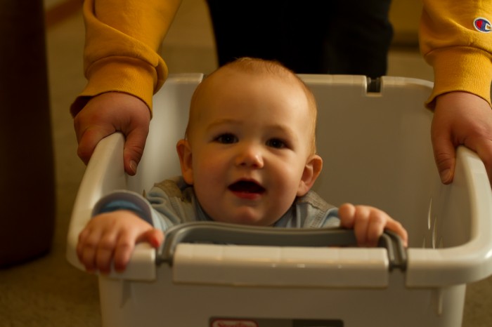 Eli enjoying one of his laundry basket rides