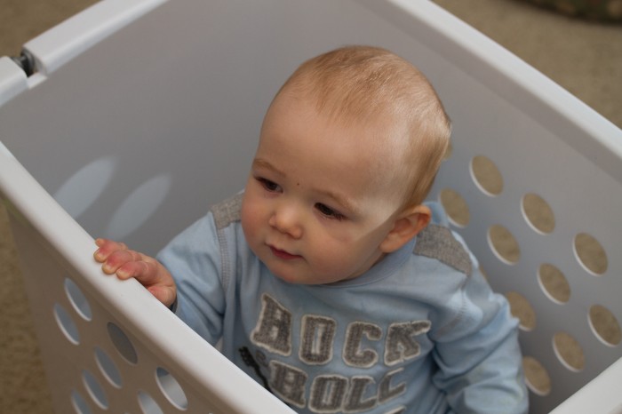 Eli enjoying one of his laundry basket rides