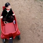 Heading in to the Pumpkin Festival!