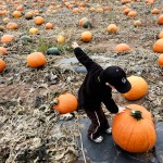 Eli Does a Pumpkin Dance!