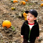 Eli in a Pumpkin Patch