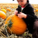 Eli found a worm on his pumpkin