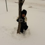 When In Doubt... Hug a Tree!